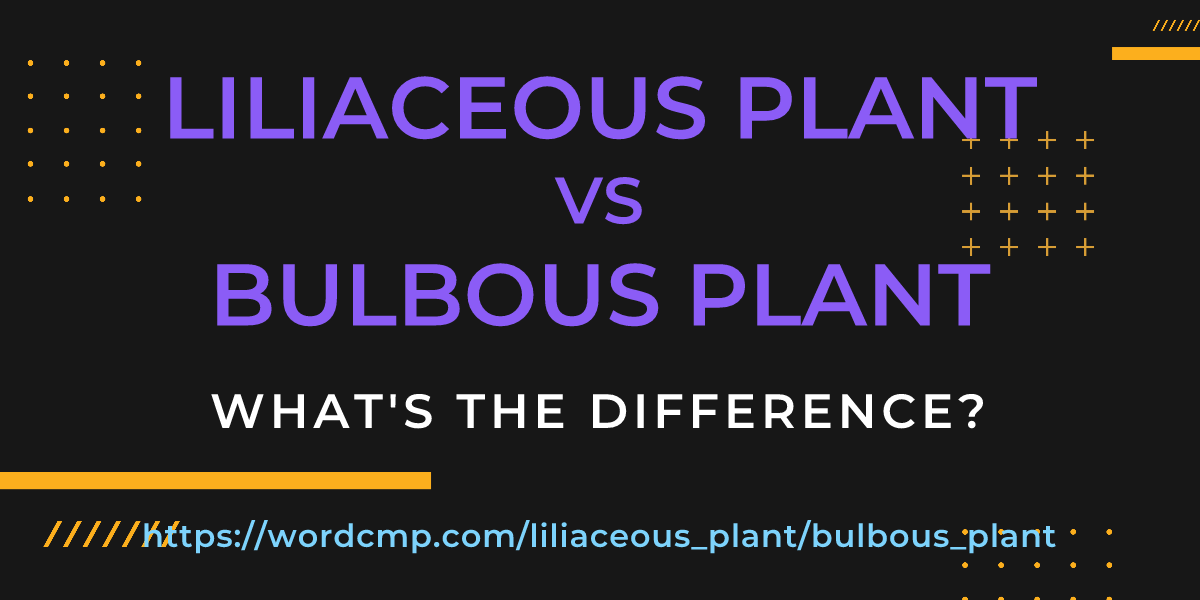 Difference between liliaceous plant and bulbous plant