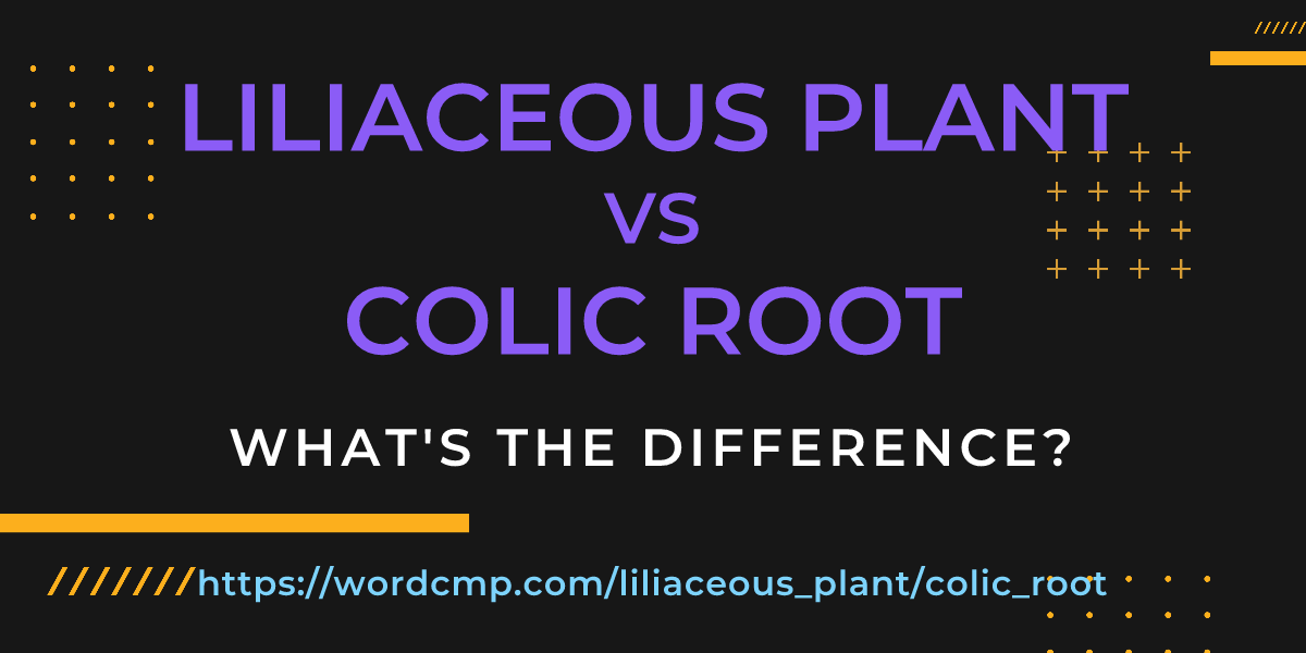 Difference between liliaceous plant and colic root