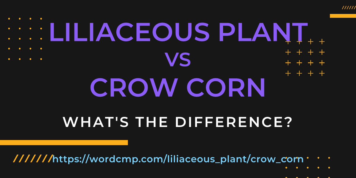 Difference between liliaceous plant and crow corn