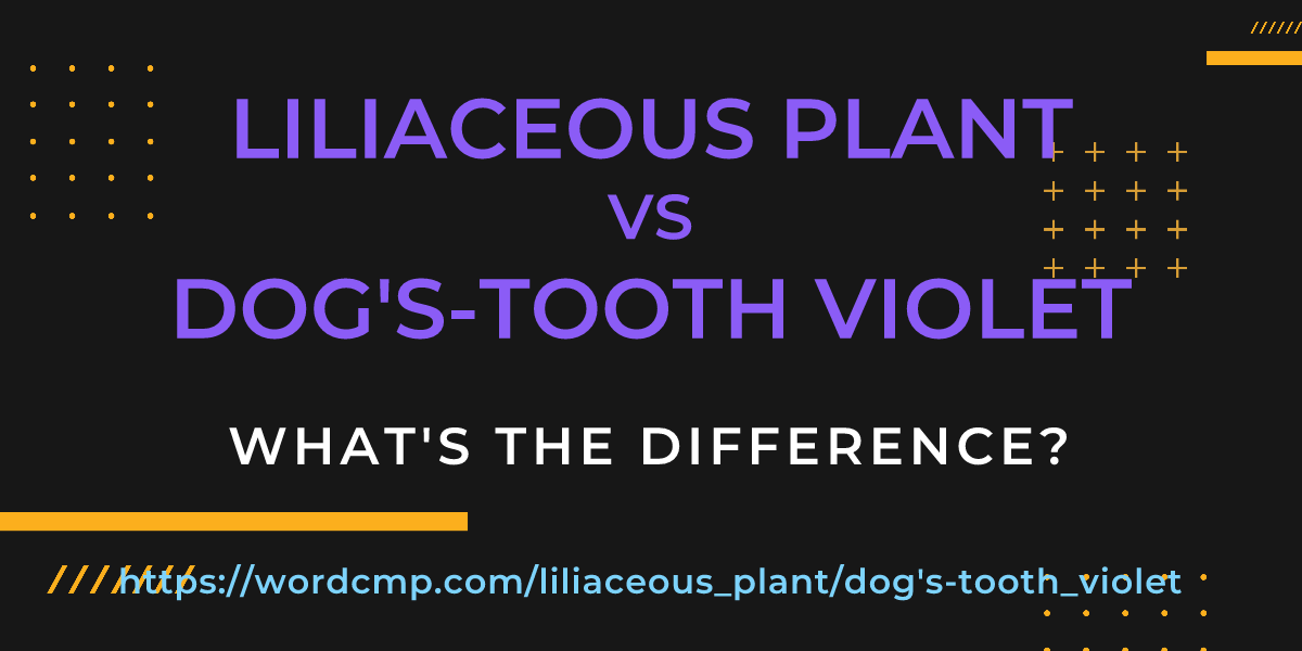 Difference between liliaceous plant and dog's-tooth violet