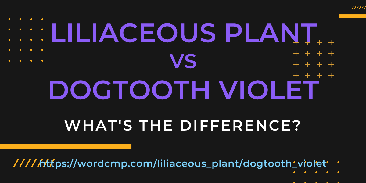 Difference between liliaceous plant and dogtooth violet