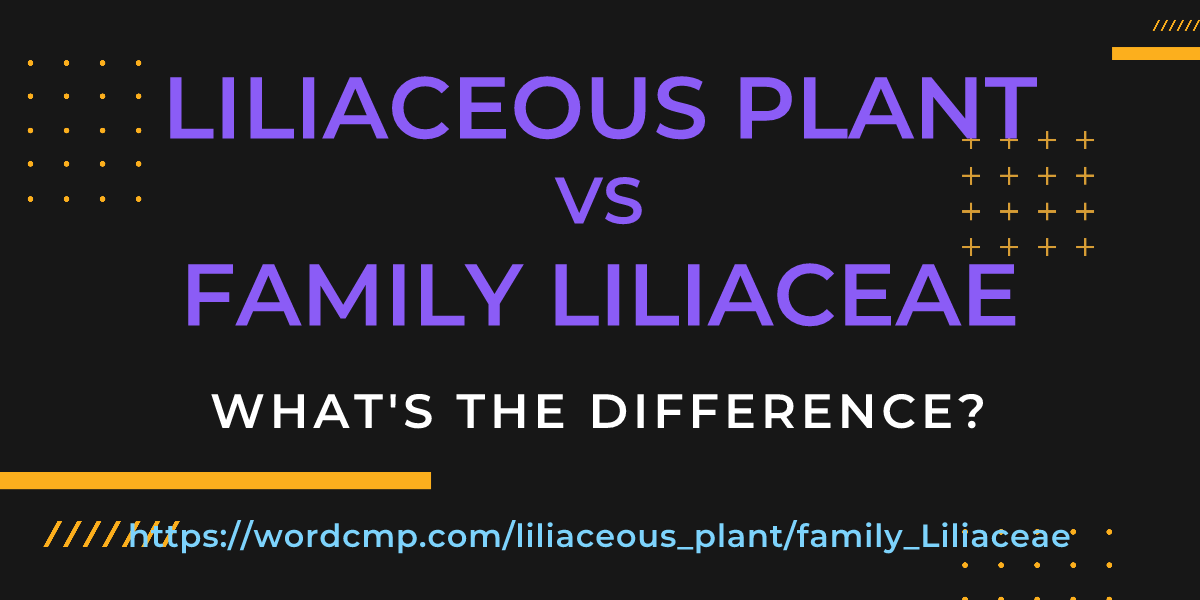 Difference between liliaceous plant and family Liliaceae