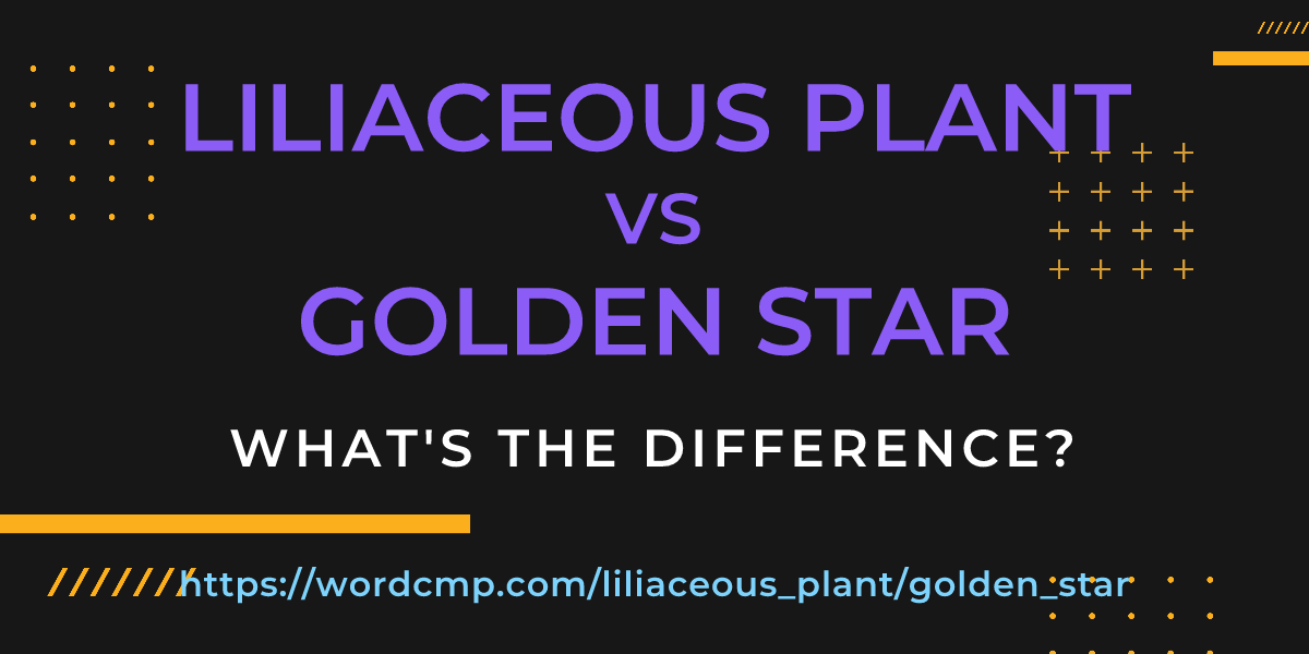 Difference between liliaceous plant and golden star