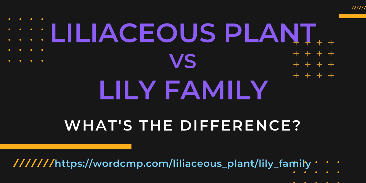 Difference between liliaceous plant and lily family