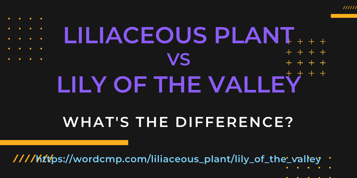Difference between liliaceous plant and lily of the valley