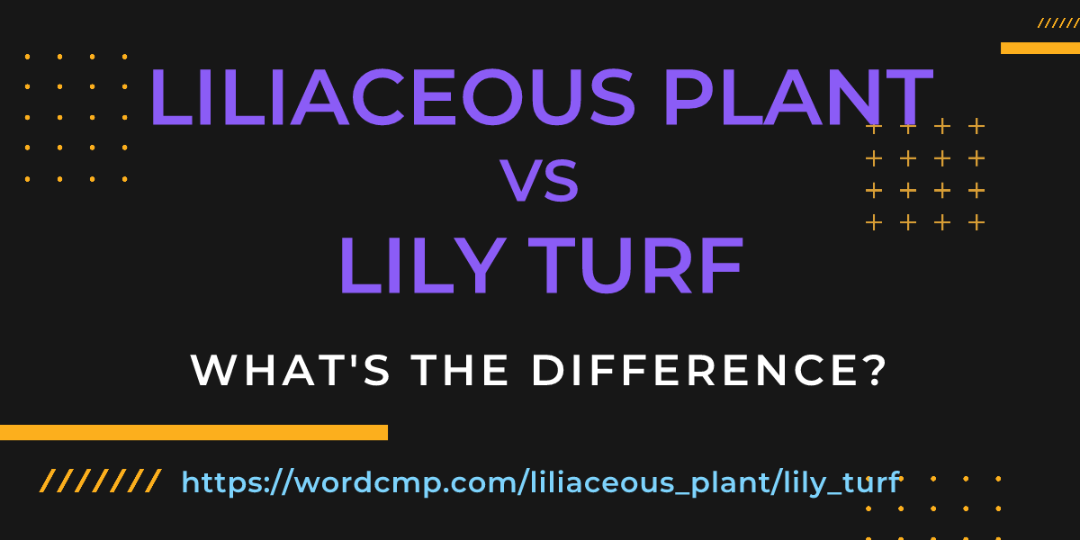 Difference between liliaceous plant and lily turf