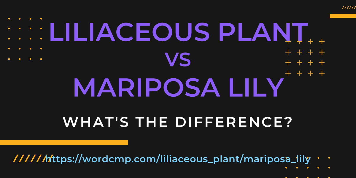 Difference between liliaceous plant and mariposa lily