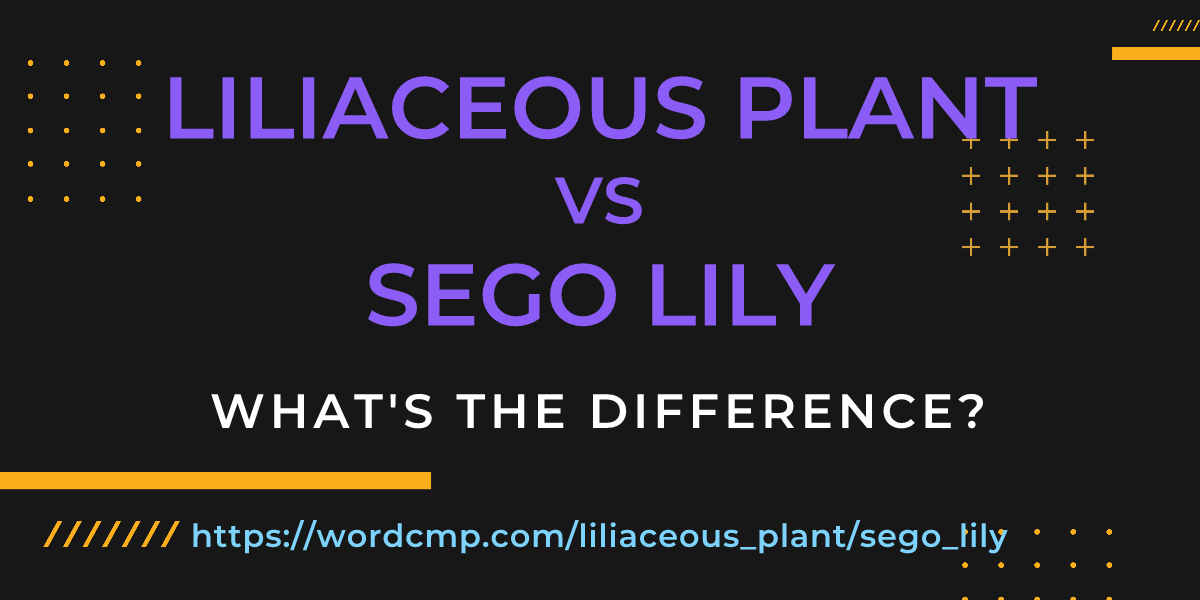 Difference between liliaceous plant and sego lily