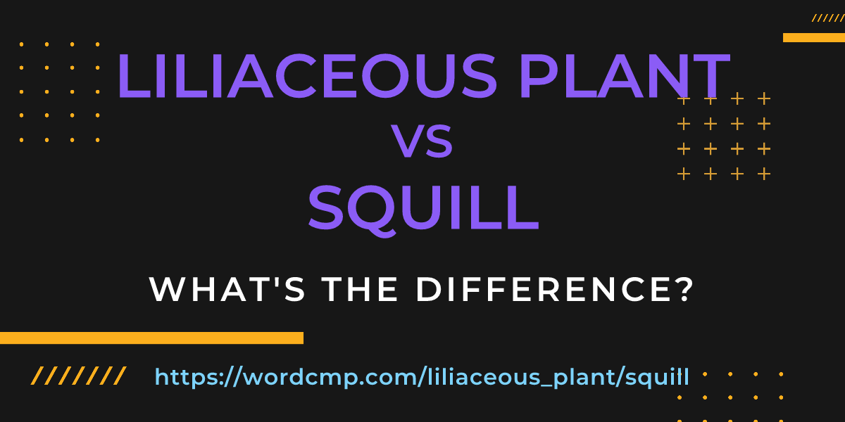 Difference between liliaceous plant and squill