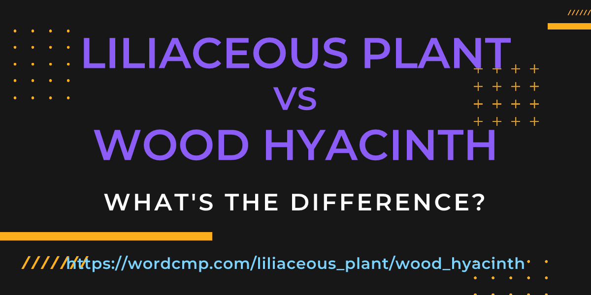 Difference between liliaceous plant and wood hyacinth