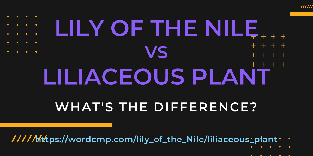 Difference between lily of the Nile and liliaceous plant