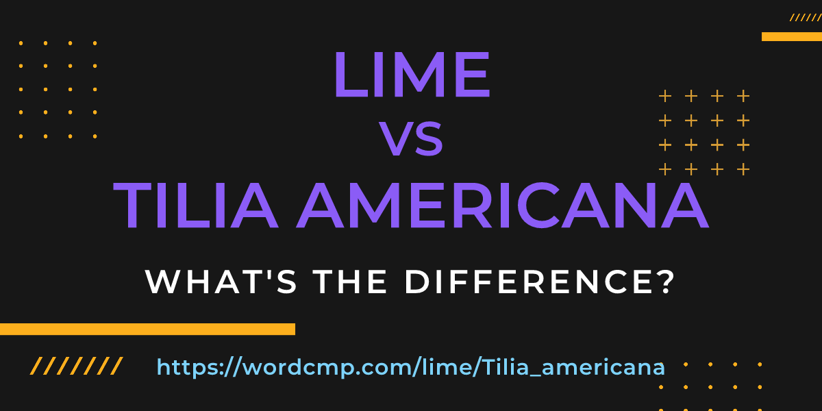 Difference between lime and Tilia americana