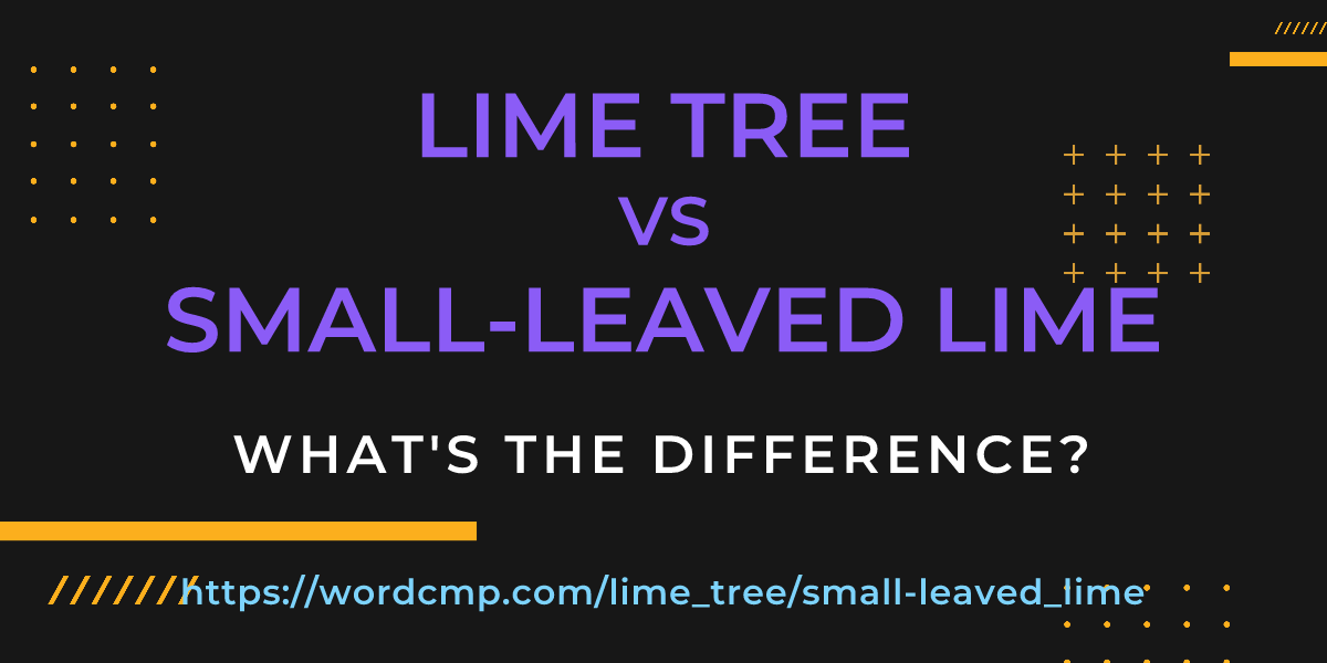 Difference between lime tree and small-leaved lime