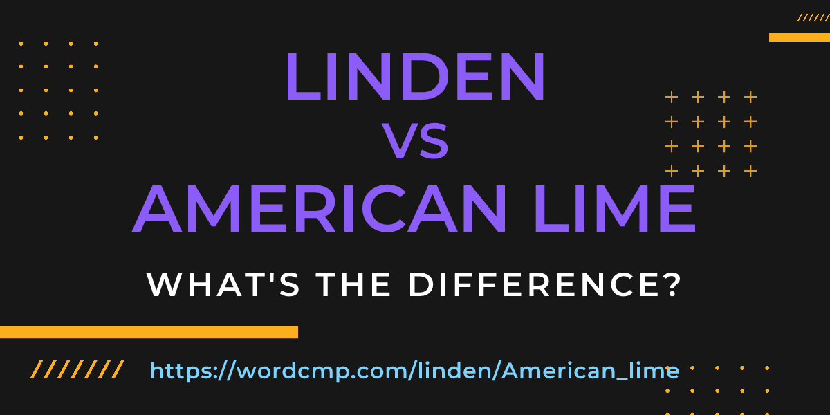 Difference between linden and American lime