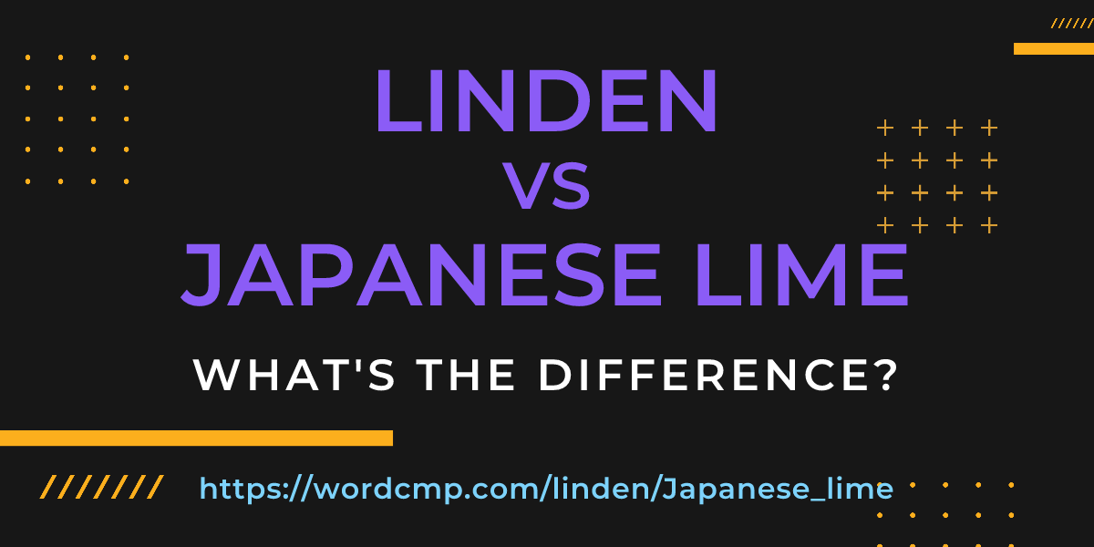 Difference between linden and Japanese lime