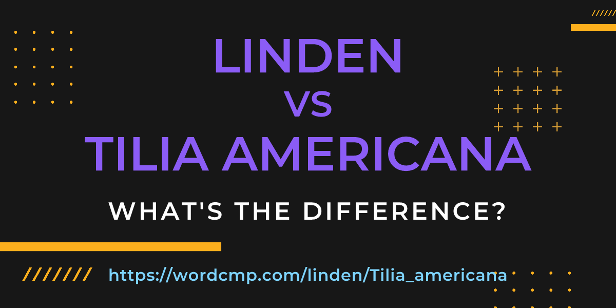 Difference between linden and Tilia americana