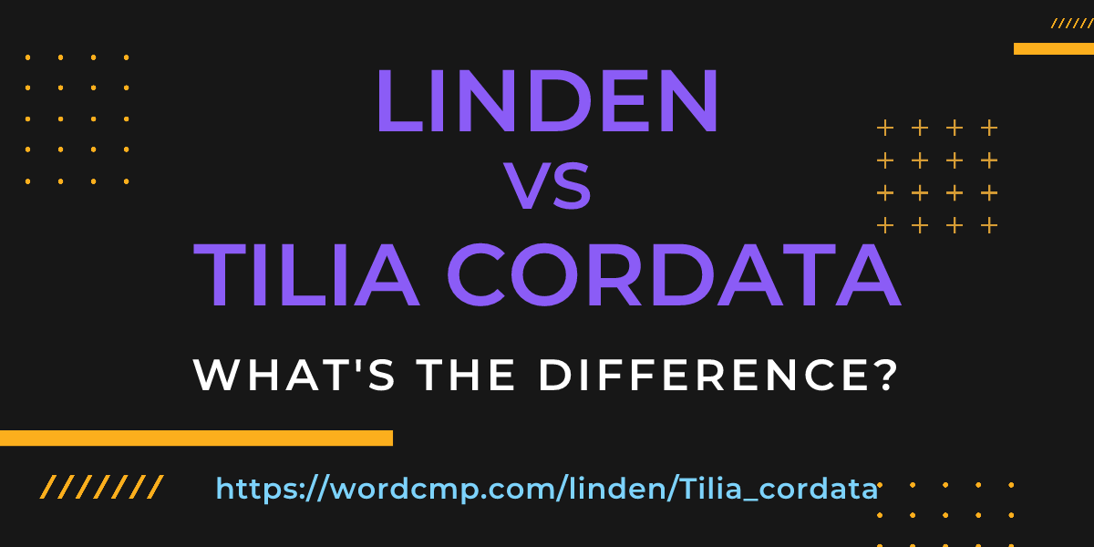 Difference between linden and Tilia cordata