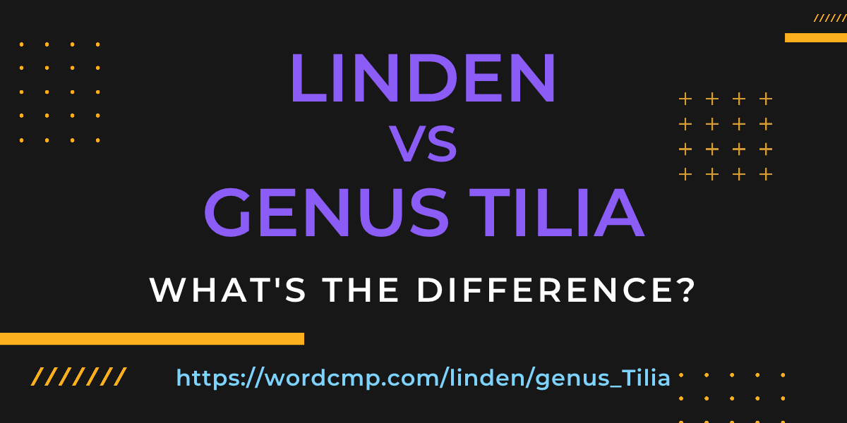 Difference between linden and genus Tilia