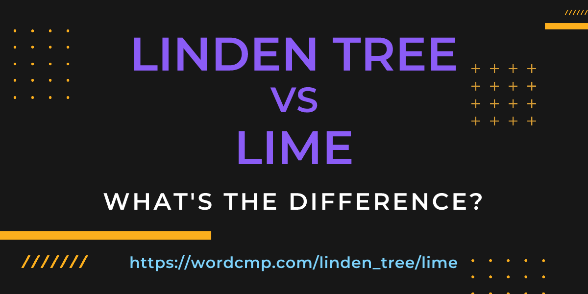 Difference between linden tree and lime