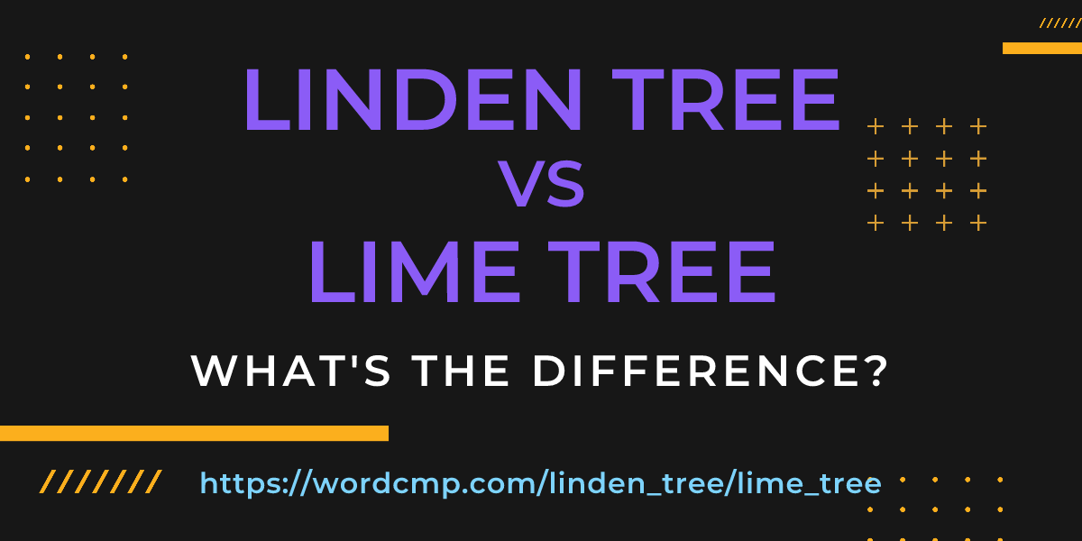 Difference between linden tree and lime tree