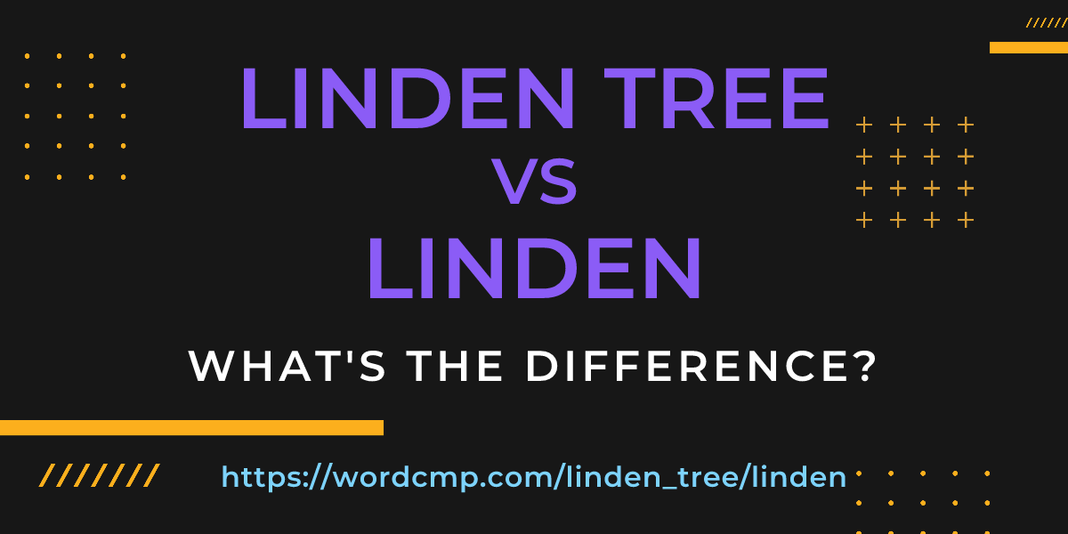 Difference between linden tree and linden