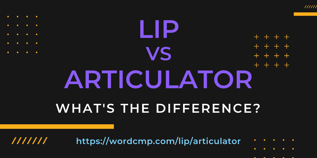 Difference between lip and articulator