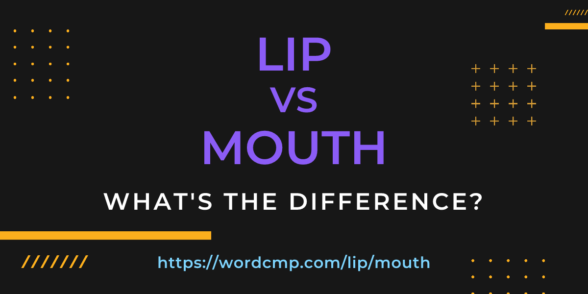 Difference between lip and mouth