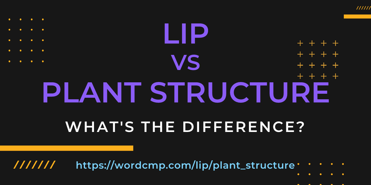 Difference between lip and plant structure