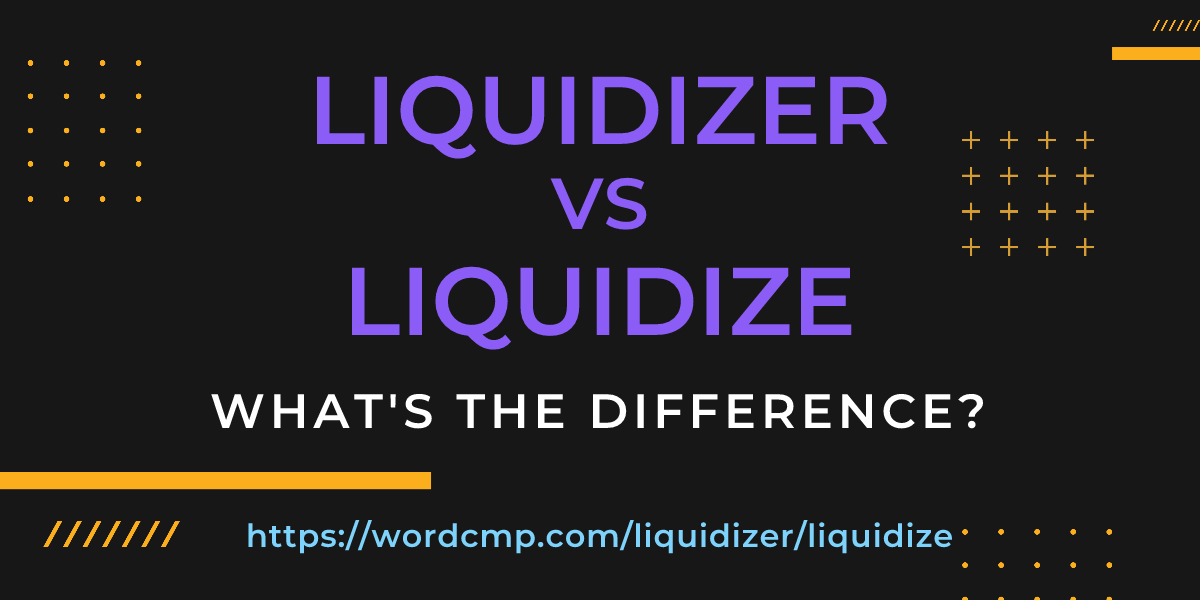 Difference between liquidizer and liquidize