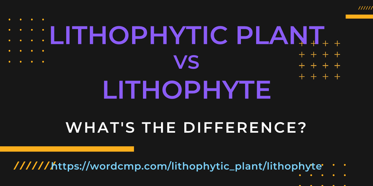 Difference between lithophytic plant and lithophyte