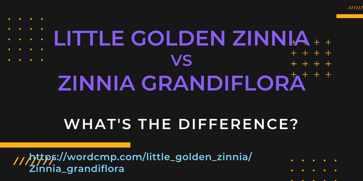 Difference between little golden zinnia and Zinnia grandiflora