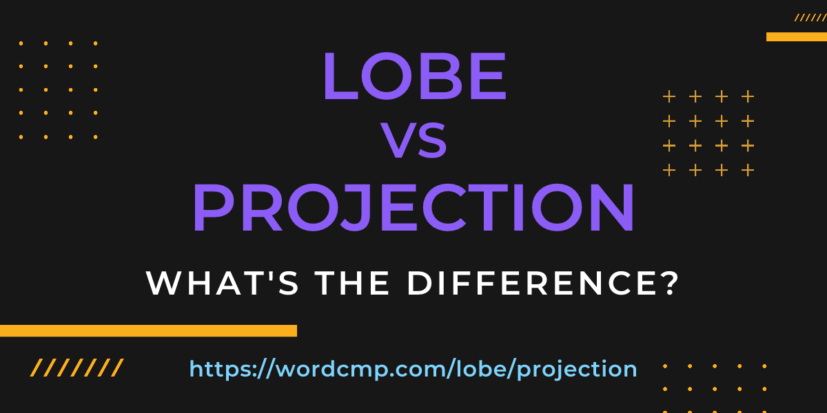 Difference between lobe and projection