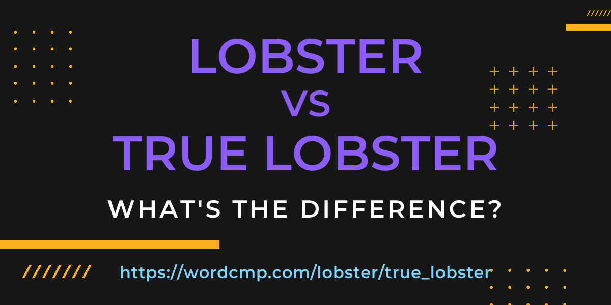 Difference between lobster and true lobster