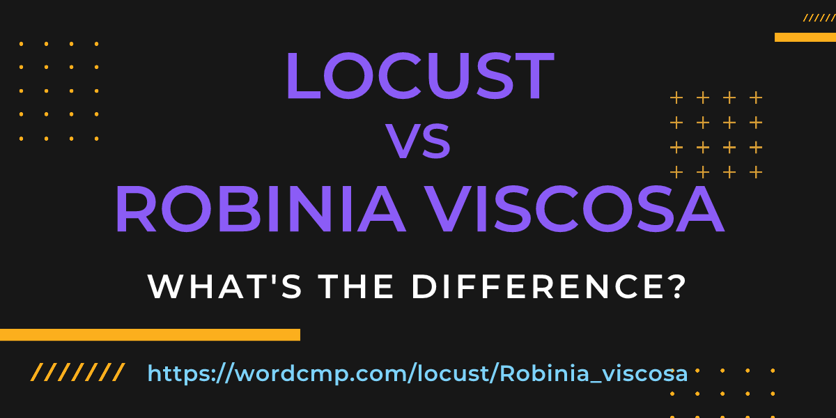 Difference between locust and Robinia viscosa