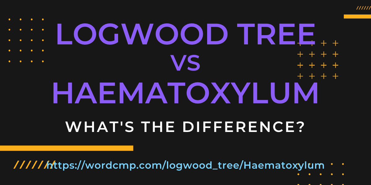 Difference between logwood tree and Haematoxylum