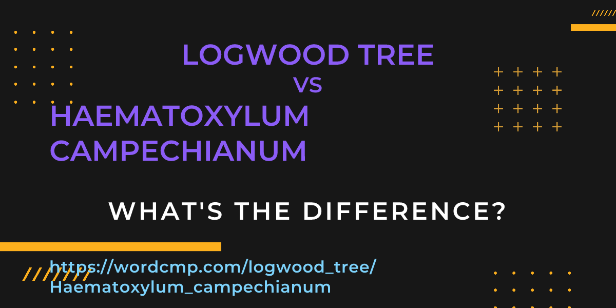 Difference between logwood tree and Haematoxylum campechianum