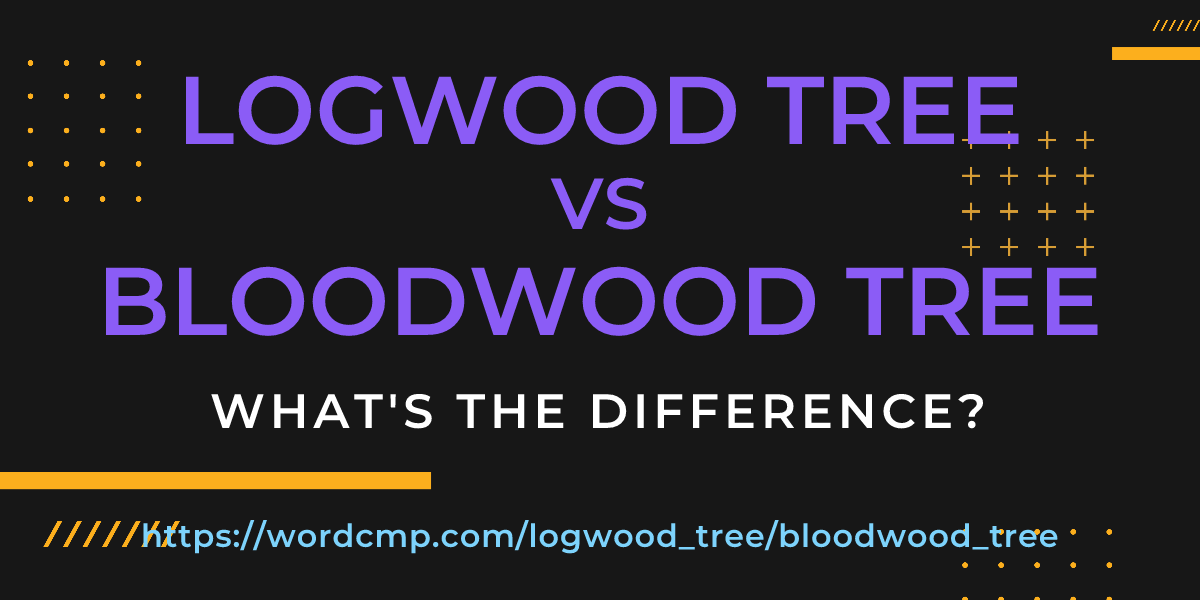 Difference between logwood tree and bloodwood tree