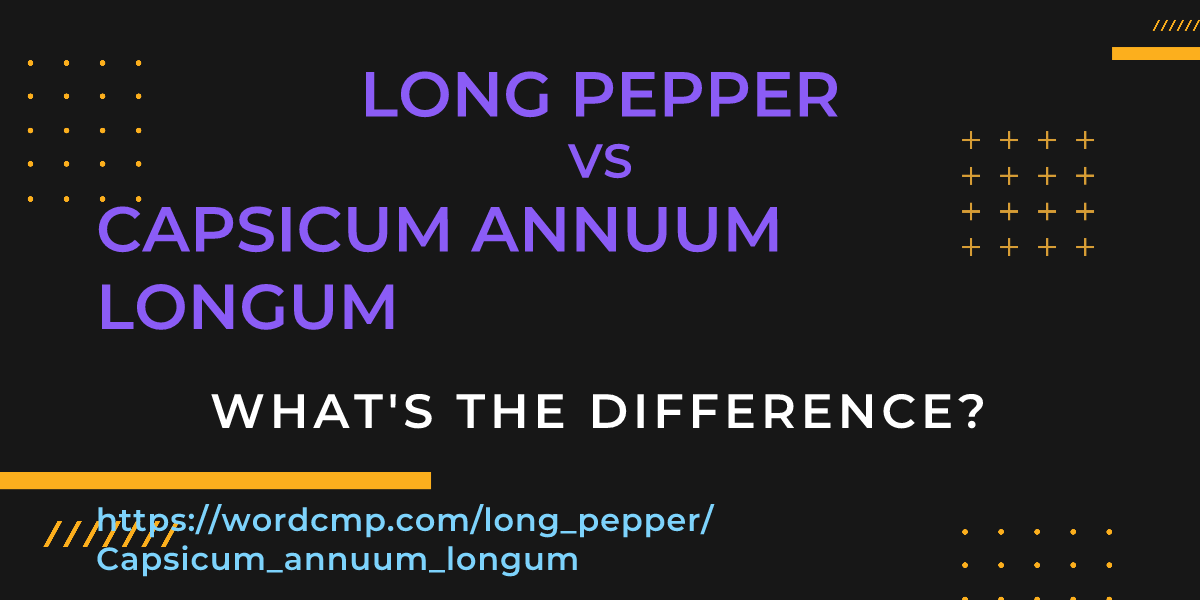 Difference between long pepper and Capsicum annuum longum