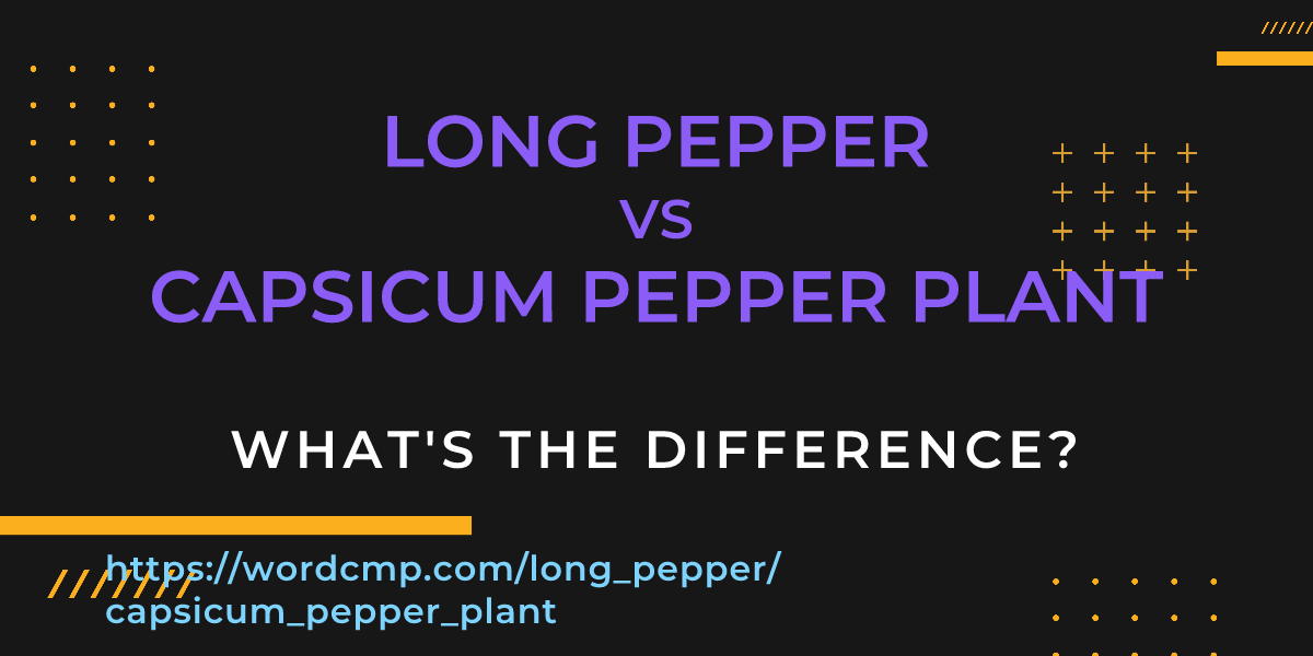 Difference between long pepper and capsicum pepper plant