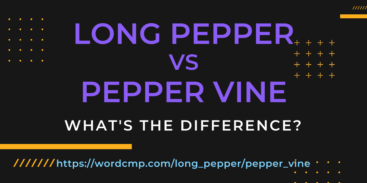 Difference between long pepper and pepper vine