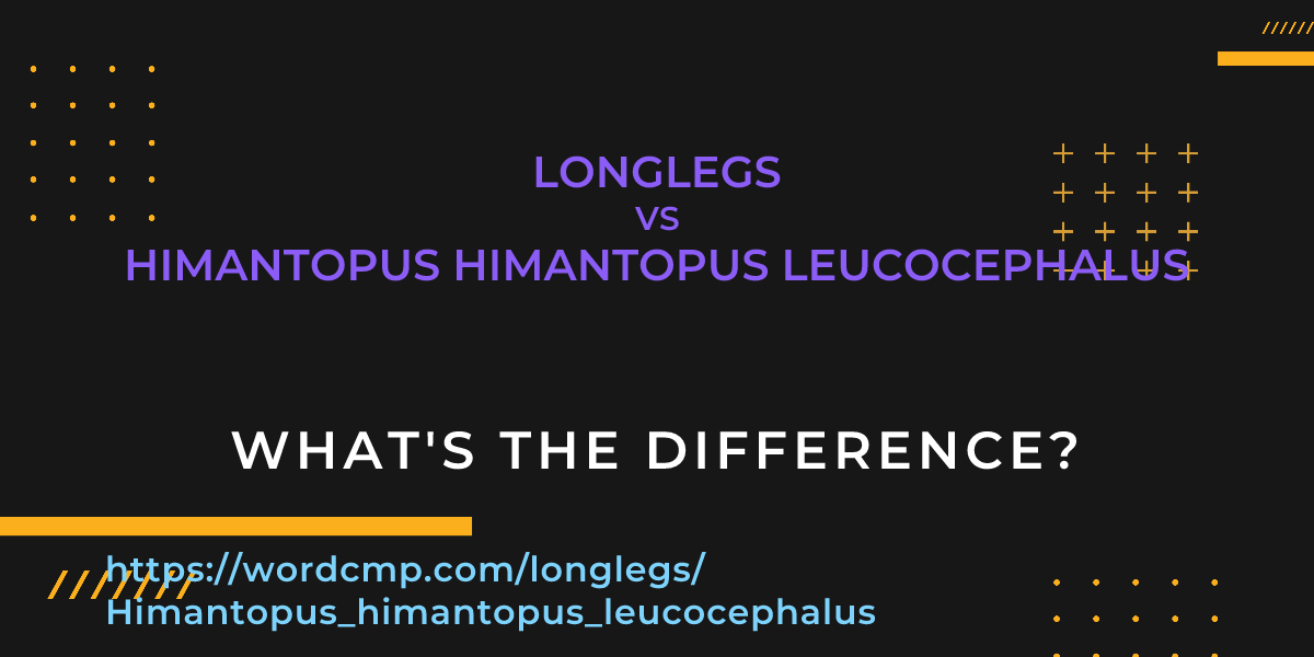 Difference between longlegs and Himantopus himantopus leucocephalus