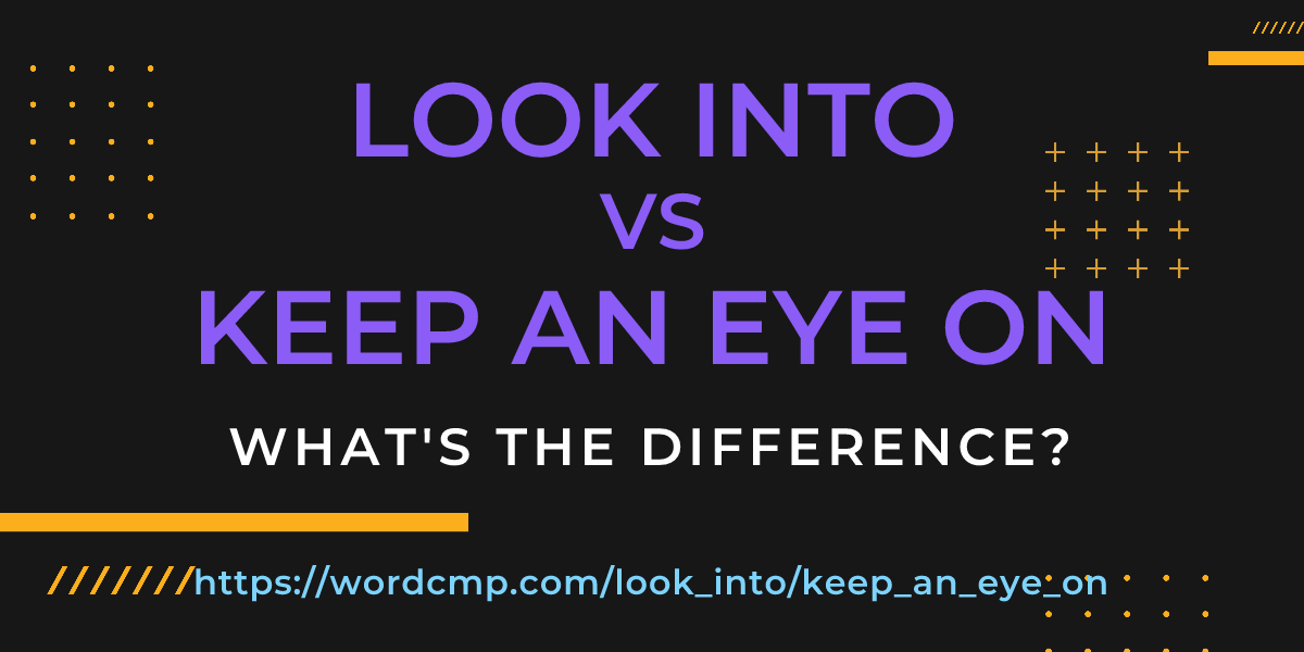 Difference between look into and keep an eye on