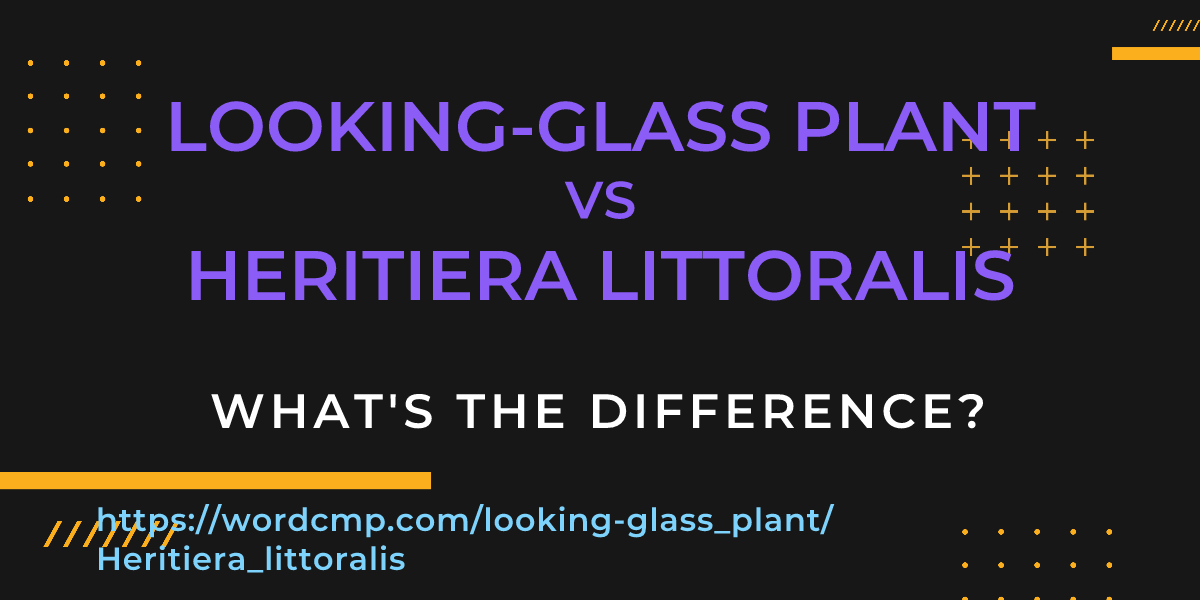 Difference between looking-glass plant and Heritiera littoralis