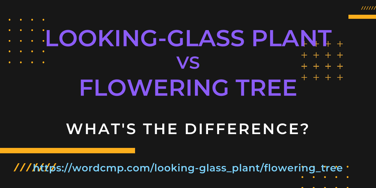 Difference between looking-glass plant and flowering tree