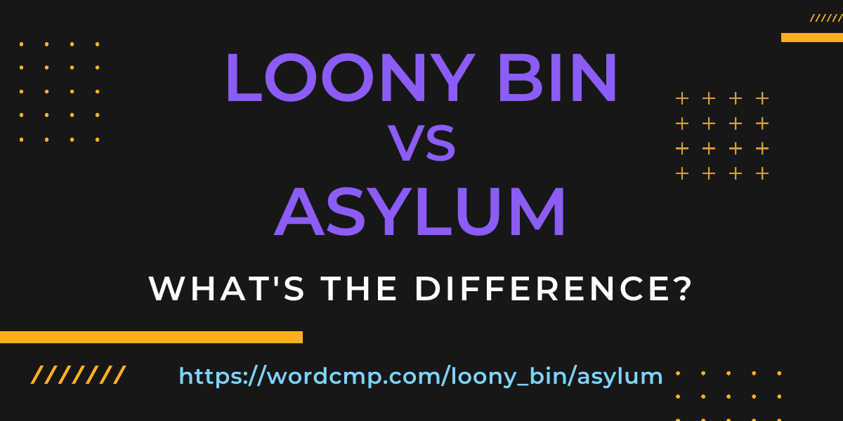 Difference between loony bin and asylum
