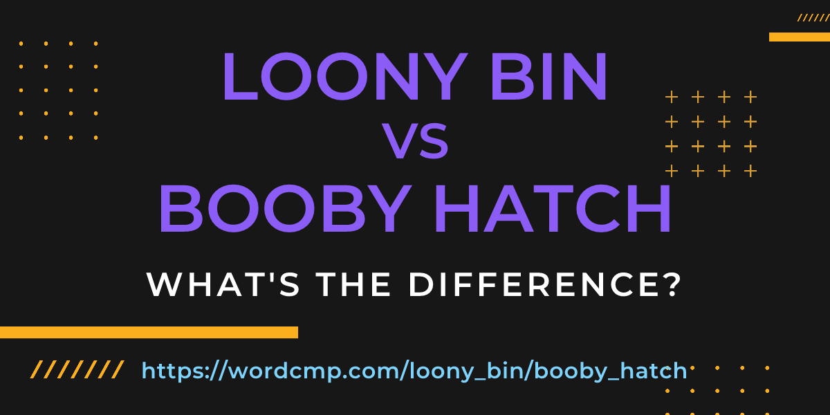Difference between loony bin and booby hatch