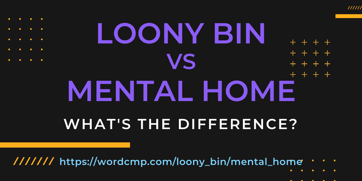 Difference between loony bin and mental home