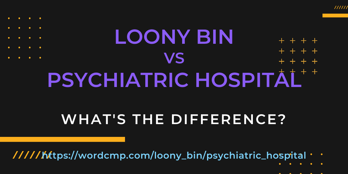 Difference between loony bin and psychiatric hospital