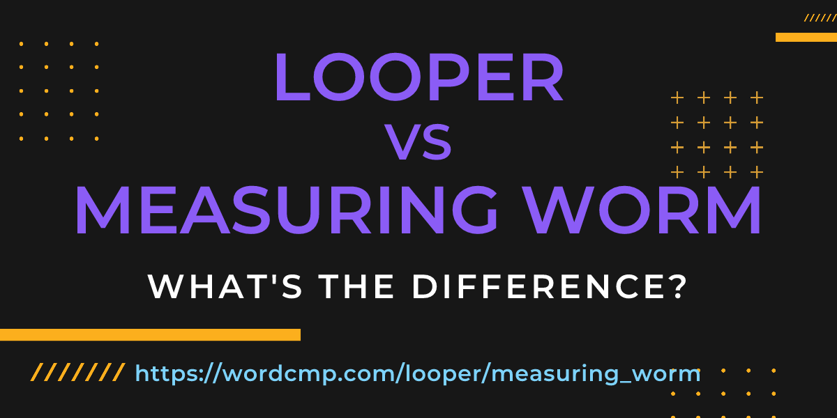Difference between looper and measuring worm