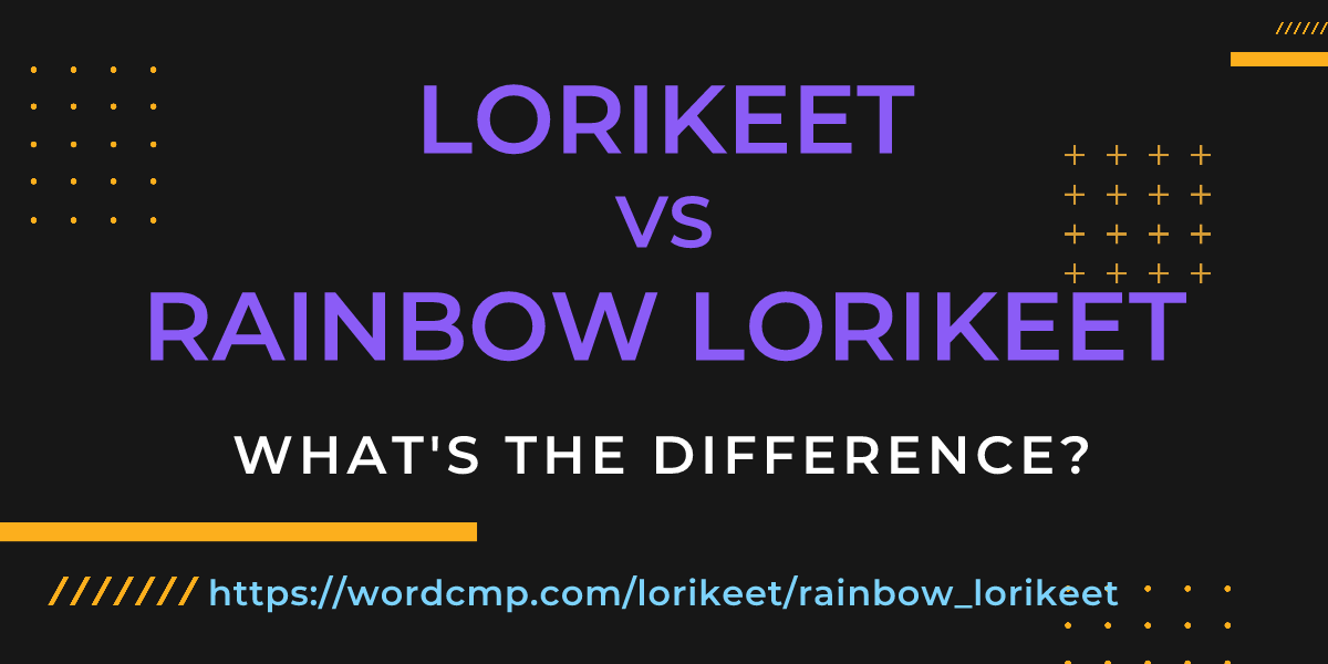 Difference between lorikeet and rainbow lorikeet